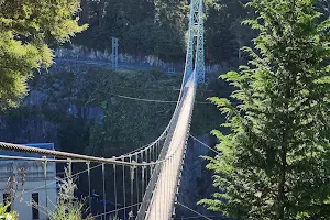 Arapuni Suspension Bridge image