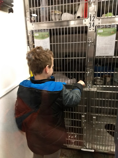 Pet Supply Store «PetSmart», reviews and photos, 475 Bank St, Waterbury, CT 06708, USA