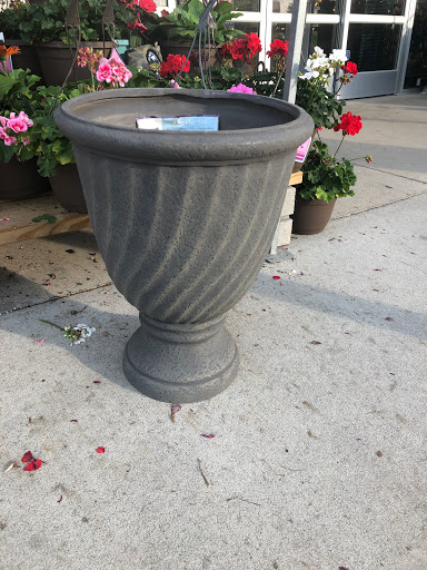 Home Goods Store «Christmas Tree Shops», reviews and photos, 1117 Woodruff Rd, Greenville, SC 29607, USA