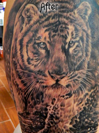 Explore male groin tattoo ideas, creative tattoo ideas in Center Line, available at Elite Ink Tattoo Studios