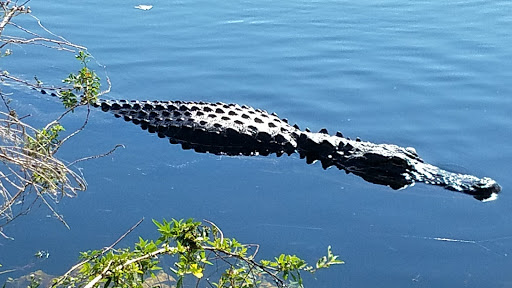 Nature Preserve «Big Cypress National Preserve», reviews and photos