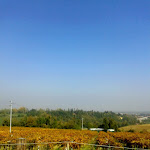 Photo n°2 de l'avis de Giuliana.i fait le 15/10/2017 à 14:49 sur le  Agriturismo La Cantina dei Sapori à Monte San Pietro