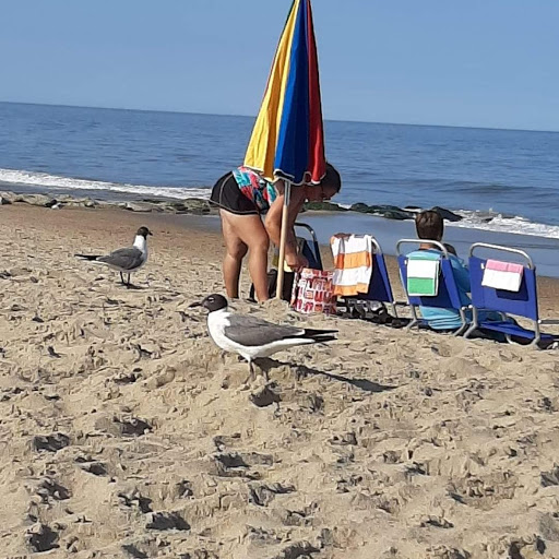 Shopping Mall «Georgetown Square Shopping Center», reviews and photos, 10400 Old Georgetown Rd, Bethesda, MD 20814, USA