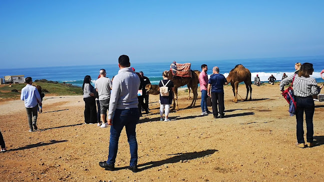 Avaliações doGO ON TRAVEL em Figueira da Foz - Agência de viagens