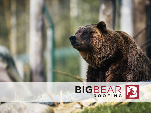 Roofing Contractor «Big Bear Roofing», reviews and photos, 2408 Ashley River Rd s, Charleston, SC 29414, USA