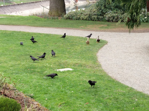 Park «Volunteer Park», reviews and photos, 1247 15th Ave E, Seattle, WA 98112, USA