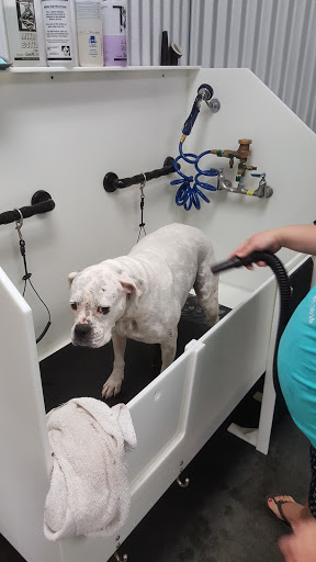 Pet Store «Market Street PET DEPOT», reviews and photos, 2979 S Market St, Gilbert, AZ 85295, USA