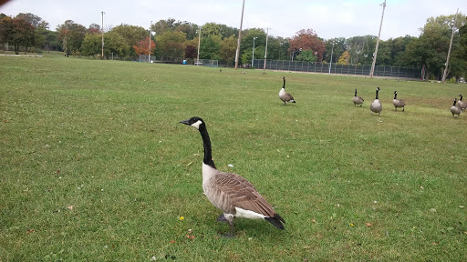 Public Golf Course «Palmer Park Golf Course», reviews and photos, 19013 Woodward Ave, Detroit, MI 48203, USA