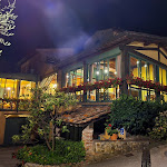 Photo n°4 de l'avis de Massimo.i fait le 07/08/2023 à 06:43 sur le  Ristorante Osteria Del Vecchio Olivo à Montecarlo