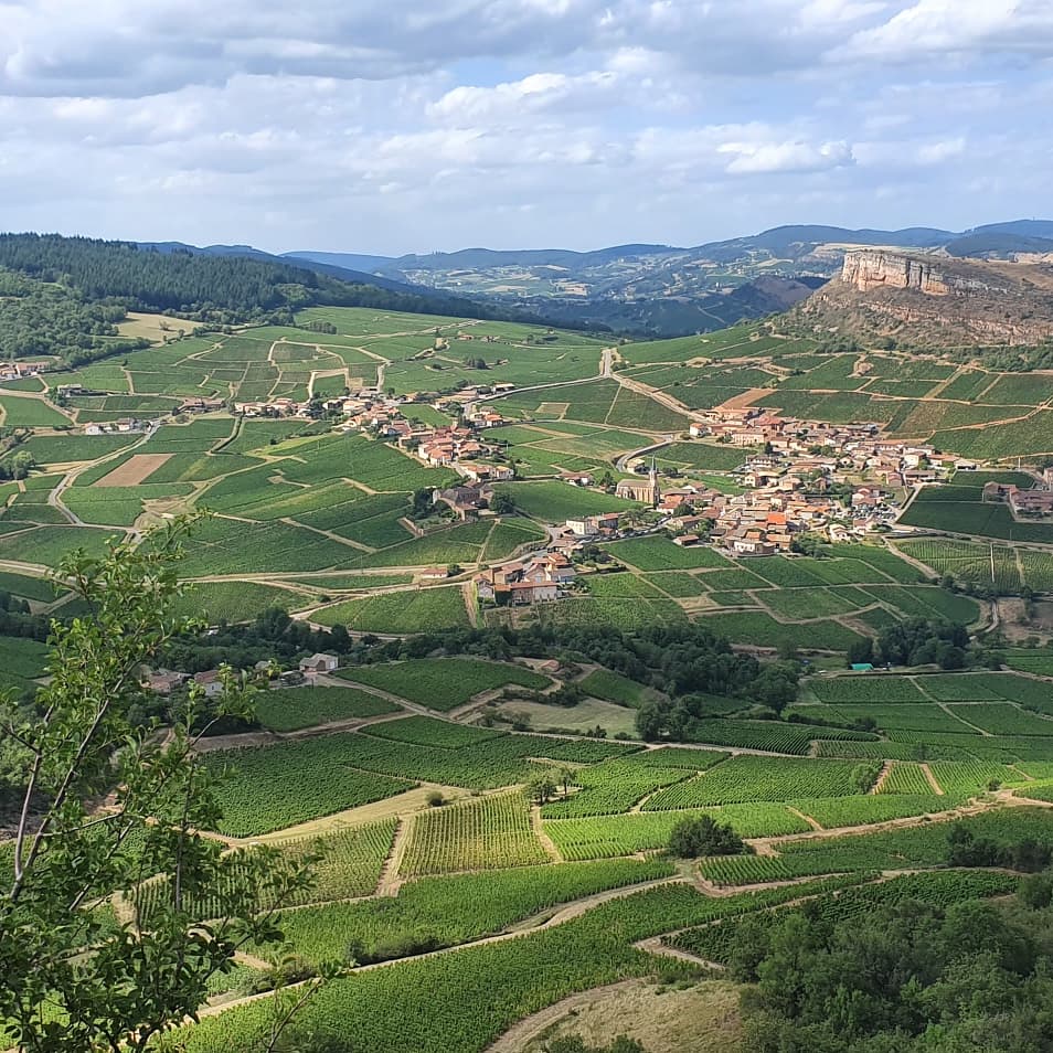 Photo n° 2 de l'avis de Dom.o fait le 12/08/2019 à 14:44