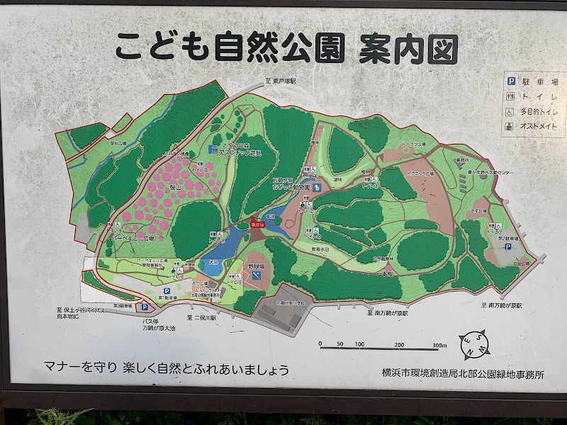 こども自然公園（大池公園）