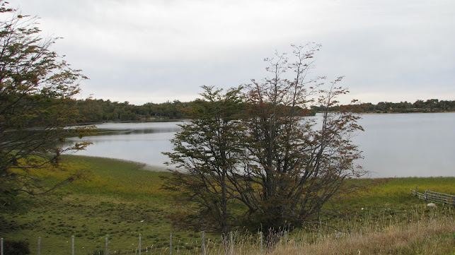Laguna Arauco