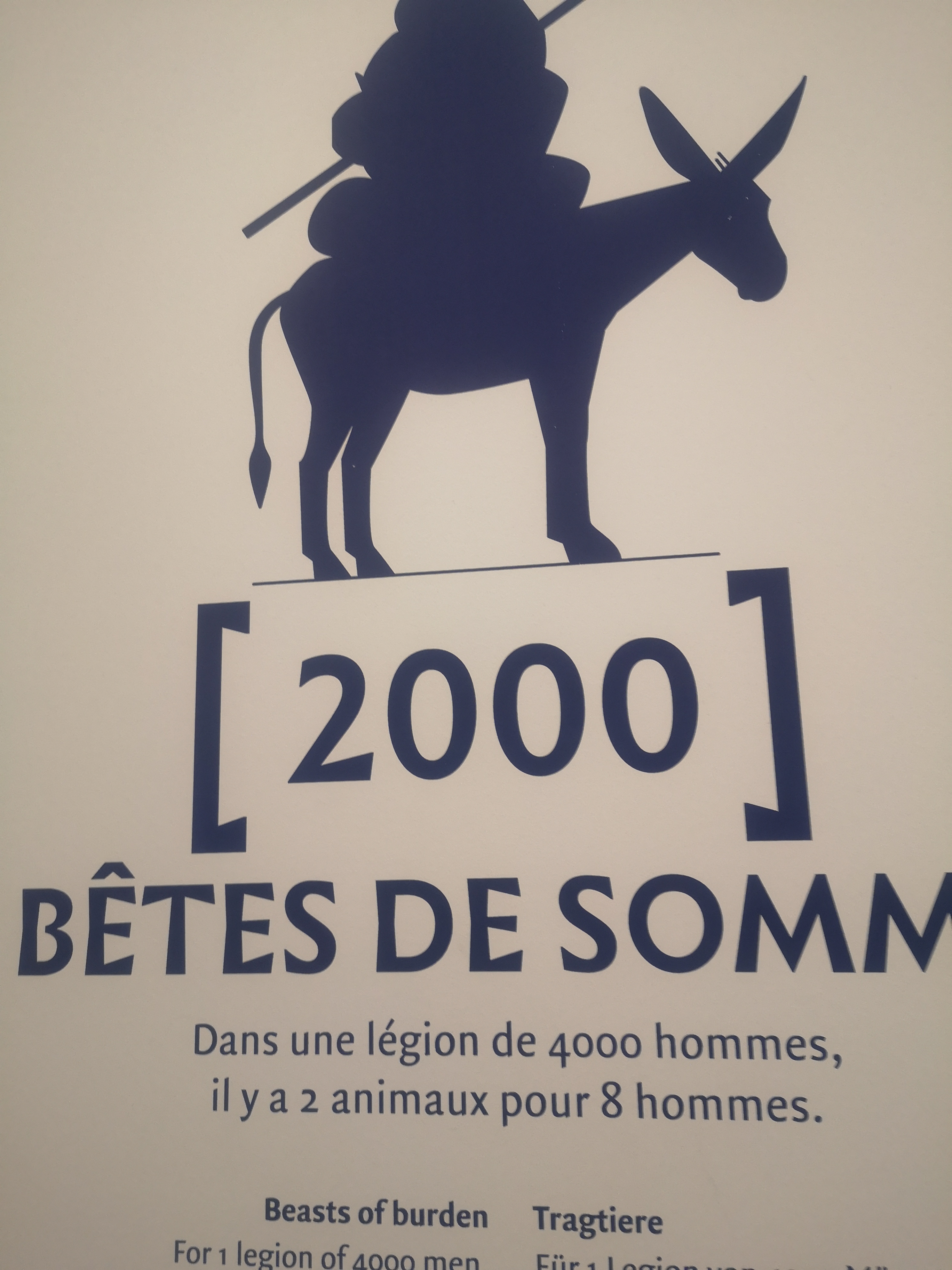 Photo n° 12 de l'avis de mariejahbless.o fait le 18/08/2022 à 05:25