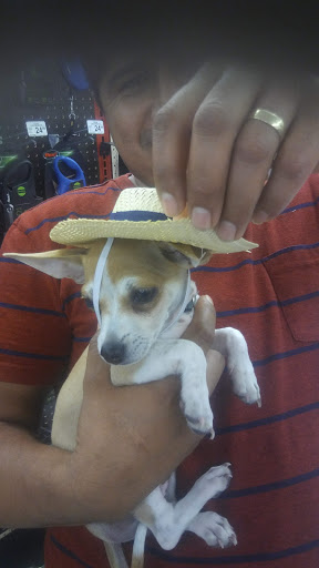 Pet Supply Store «Petco Animal Supplies», reviews and photos, 390 East 525 North, Harrisville, UT 84404, USA