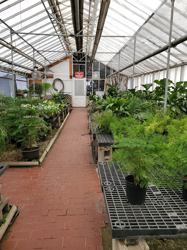 Florist «Kinsch Village Florist & Garden Center», reviews and photos, 301 Johnson St, Palatine, IL 60067, USA