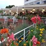 Photo n°4 de l'avis de Christine.u fait le 18/08/2018 à 13:21 sur le  Splendid Hotel la Torre à Palermo