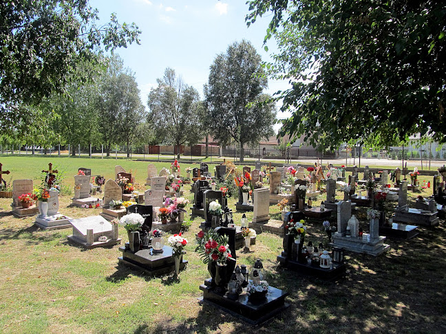 Dunavarsány temető - Temetkezési vállalkozás