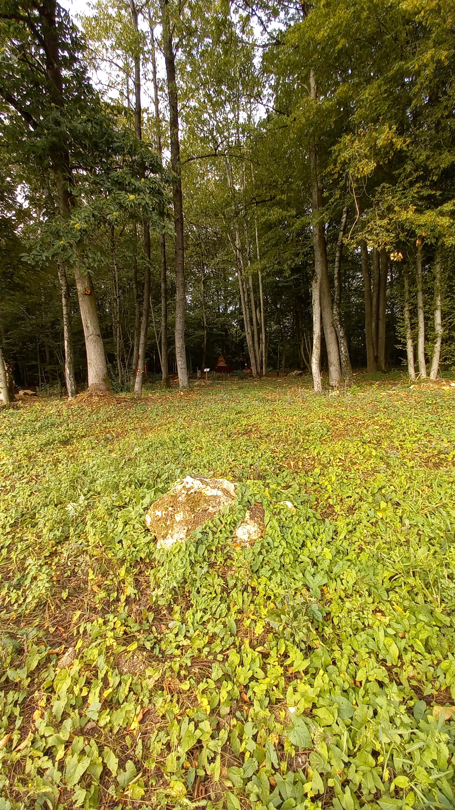 Photo n° 2 de l'avis de decorte.y fait le 21/09/2023 à 08:17