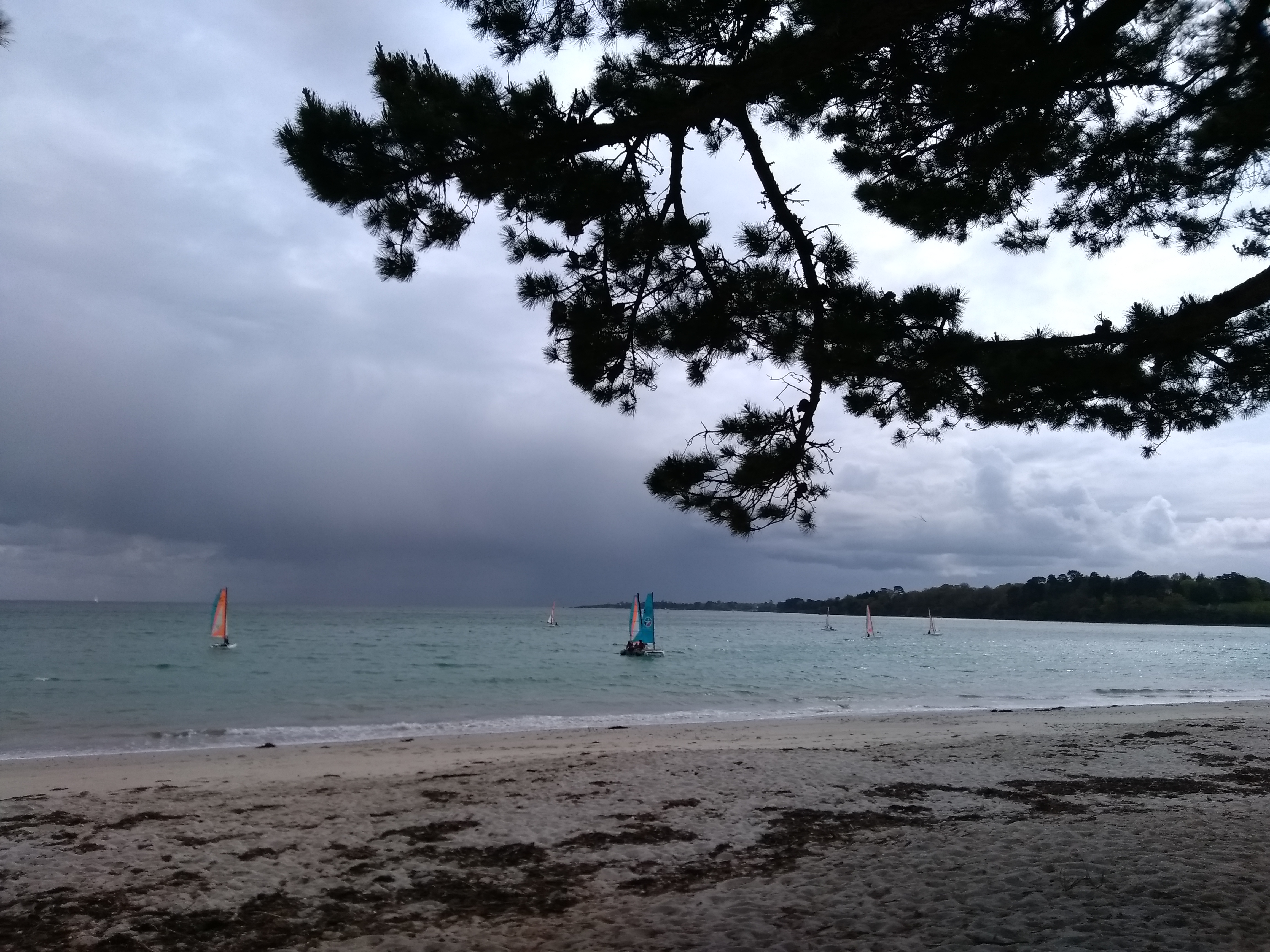 Photo n° 4 de l'avis de Jane.r fait le 08/04/2019 à 11:42
