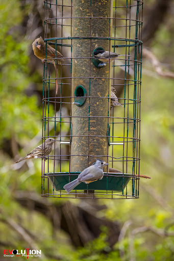 Nature Preserve «Warbler Woods», reviews and photos, 19349 Old Wiederstein Rd, Cibolo, TX 78108, USA