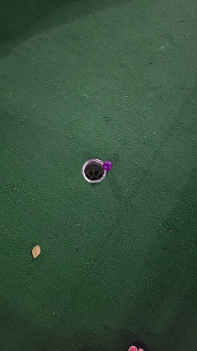 Theme Park «Adventureland Theme Park», reviews and photos, 3738 W Main St, Dothan, AL 36305, USA