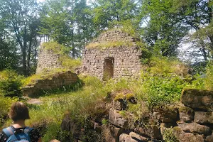 Zbirohy Castle Ruins image