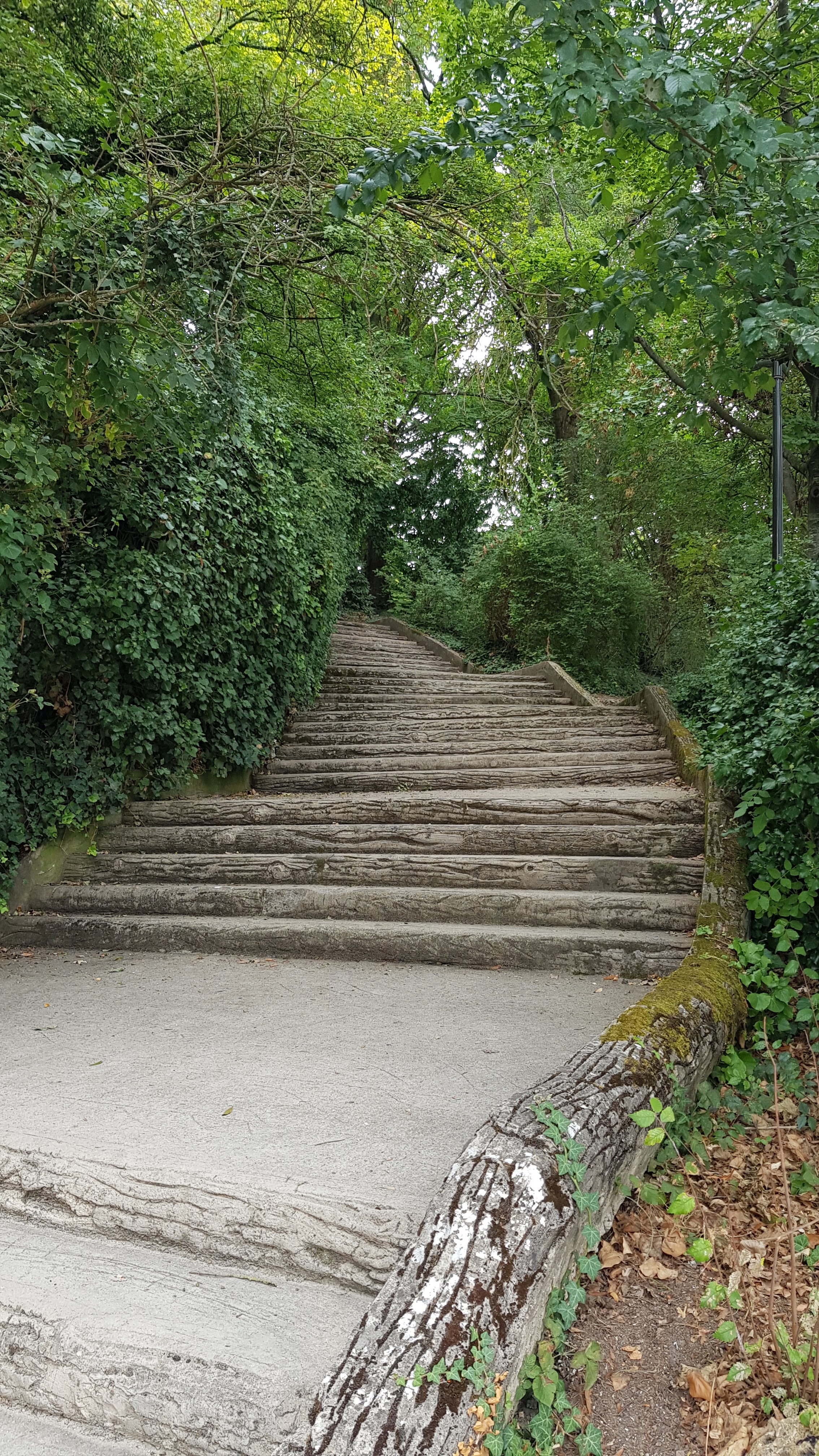 Photo n° 8 de l'avis de Stéphane.A fait le 26/08/2020 à 21:24