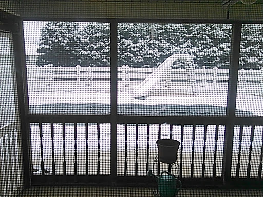 Public Golf Course «The Rookery North Golf Course», reviews and photos, 6152 S Rehoboth Blvd, Milford, DE 19963, USA