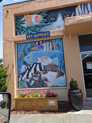 Pet Store «Fin-N-Feather», reviews and photos, 2931 F St, Eureka, CA 95501, USA