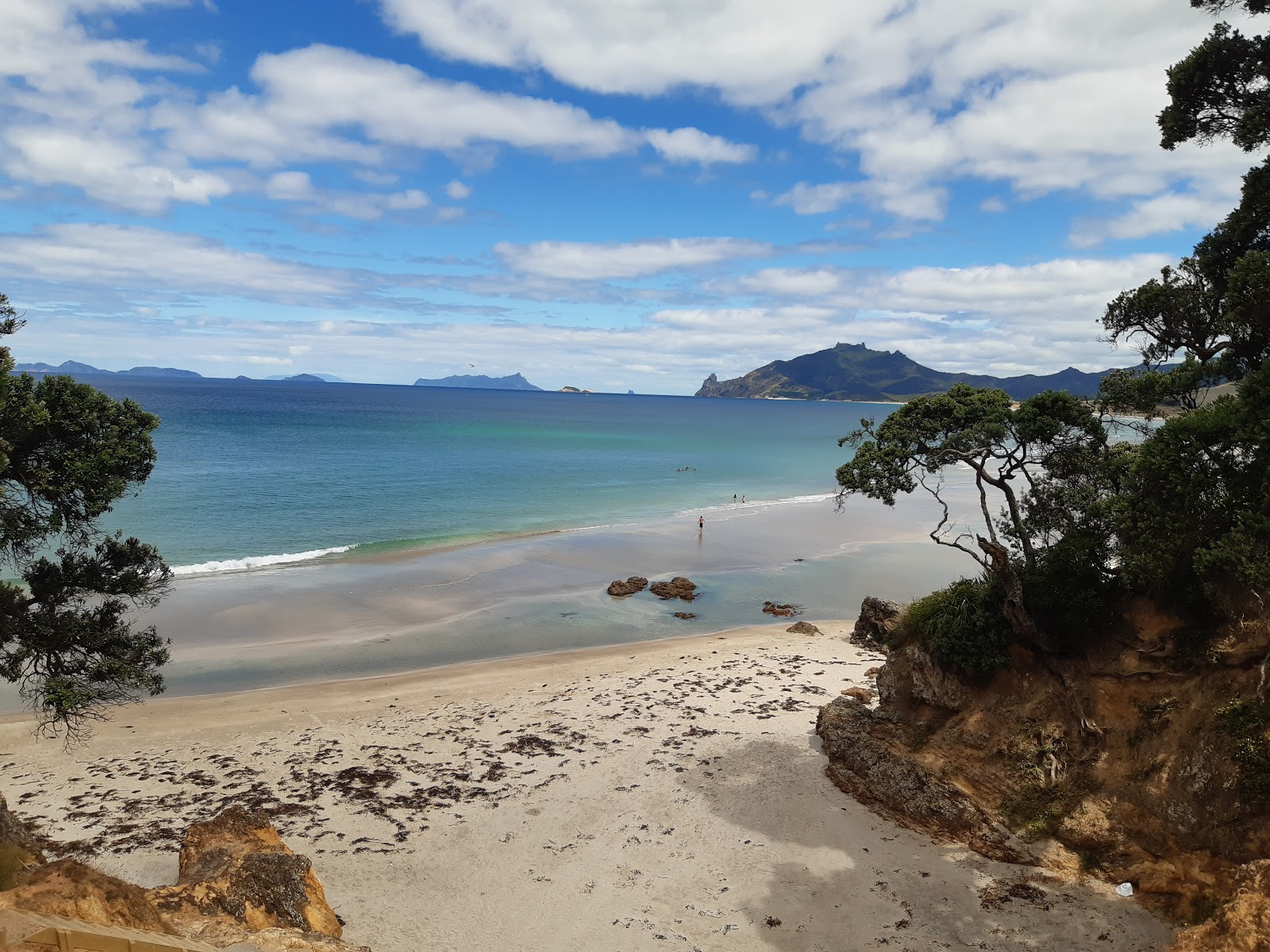 Φωτογραφία του Kauri Mountain Beach με καθαρό νερό επιφάνεια