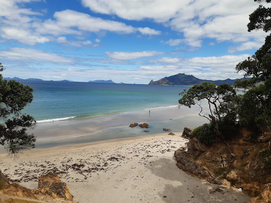Kauri Mountain Beach