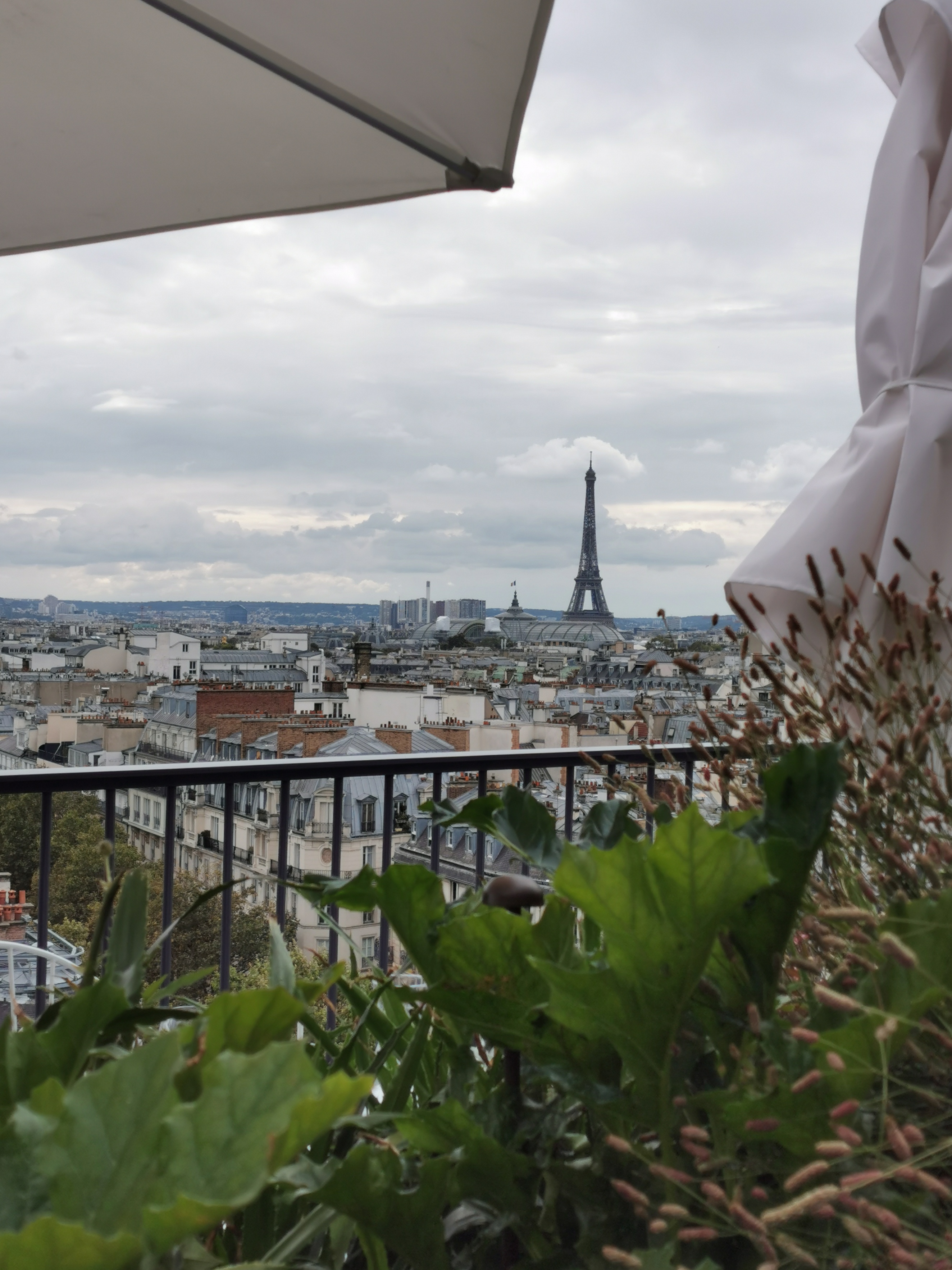 Photo n° 1 de l'avis de audrey.e fait le 29/08/2021 à 20:31