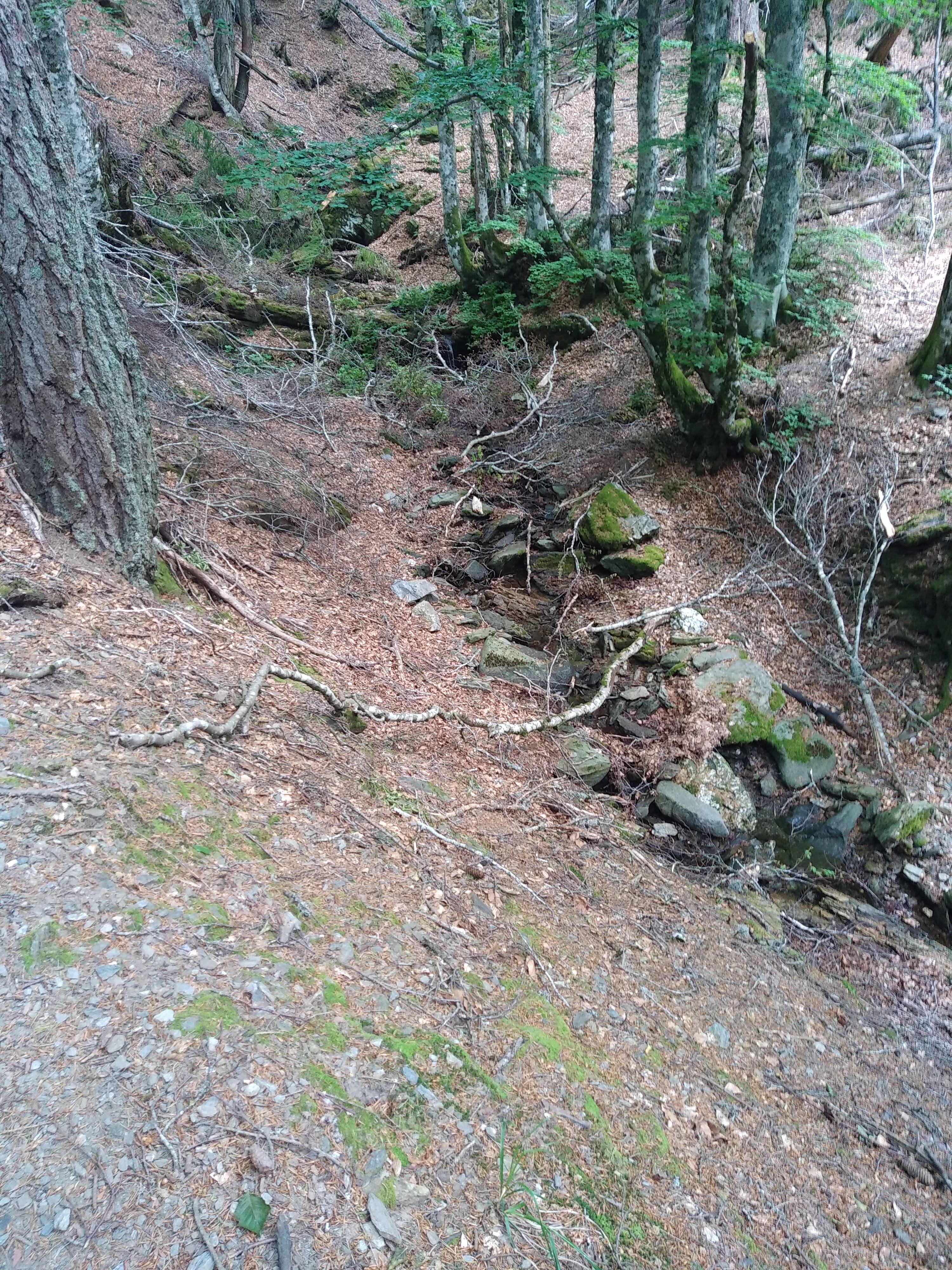 Photo n° 17 de l'avis de Julien.a fait le 10/01/2023 à 18:45