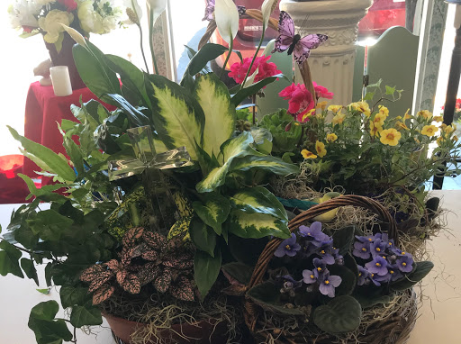 Florist «McCandless Floral», reviews and photos, 8105 Perry Hwy, Pittsburgh, PA 15237, USA