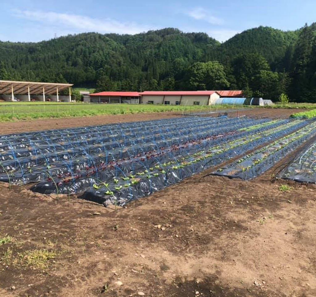 すみれアグリファーム合同会社