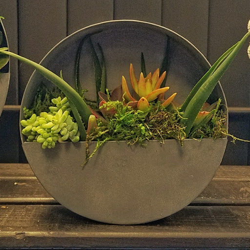 Florist «Enchanted Florist & Gifts», reviews and photos, 9140 Alcosta Blvd B, San Ramon, CA 94583, USA