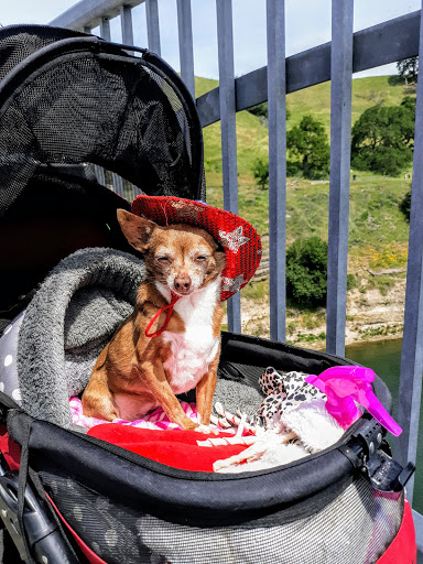 Thrift Store «Goodwill», reviews and photos, 390 Plaza Dr, Folsom, CA 95630, USA