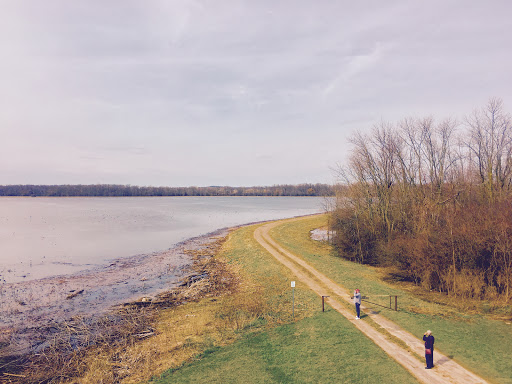 National Reserve «Montezuma National Wildlife Refuge», reviews and photos, 3395 US-20, Seneca Falls, NY 13148, USA