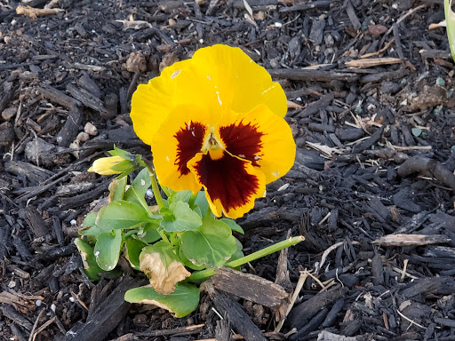 Visitor Center «PA Welcome Center I-81 North», reviews and photos, I-81, Greencastle, PA 17225, USA