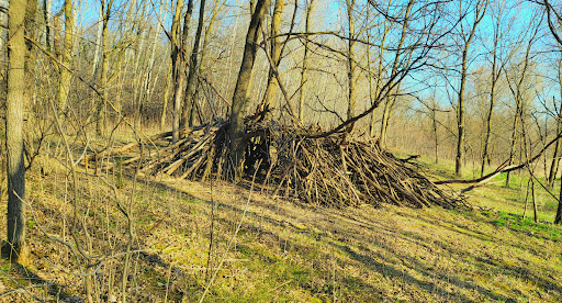 Park «French Regional Park», reviews and photos, 12605 Rockford Rd, Plymouth, MN 55441, USA