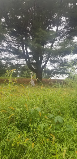 Private Golf Course «Chester Valley Golf Course», reviews and photos, 430 W Swedesford Rd, Malvern, PA 19355, USA