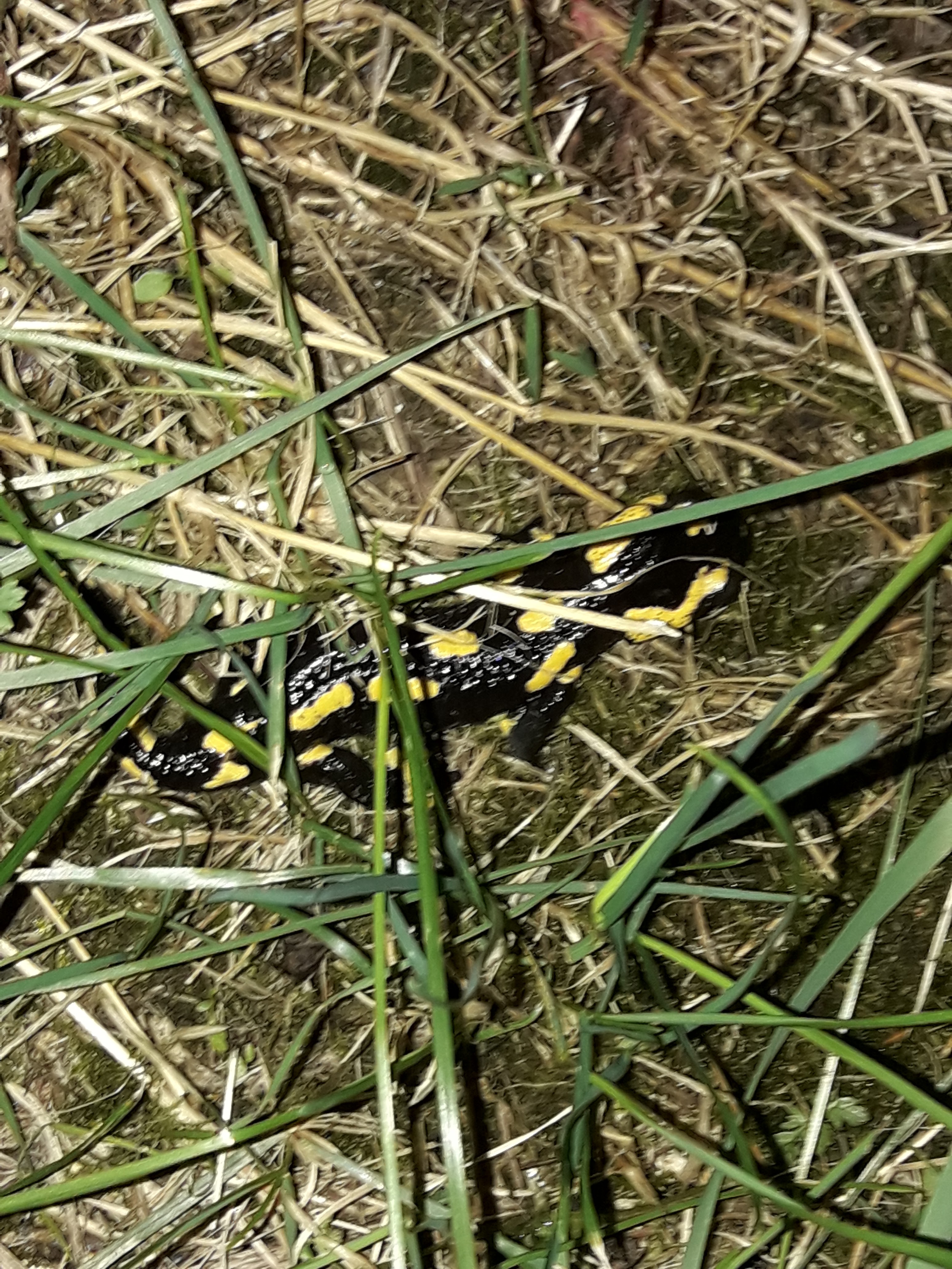 Photo n° 1 de l'avis de Jean-Noël.A fait le 06/11/2018 à 11:55