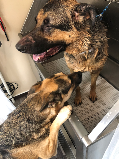 Happy Hounds Grooming