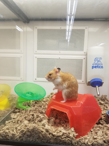 Pet Supply Store «Petco Animal Supplies», reviews and photos, 1141 Wantagh Ave, Wantagh, NY 11793, USA
