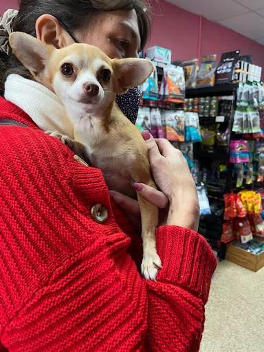 Pet Supply Store «Haute Dogs Boutique & Barkery», reviews and photos, 507 Georgia St, Vallejo, CA 94590, USA