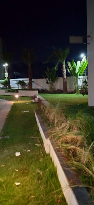 Google Maps image 11