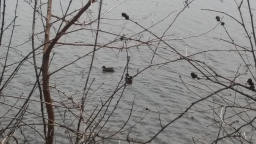 Park «Hudson Park», reviews and photos, 2919 Lakeland Ave, Madison, WI 53704, USA