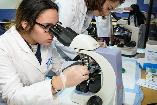 Business School «Hunter Business School - Levittown Campus», reviews and photos