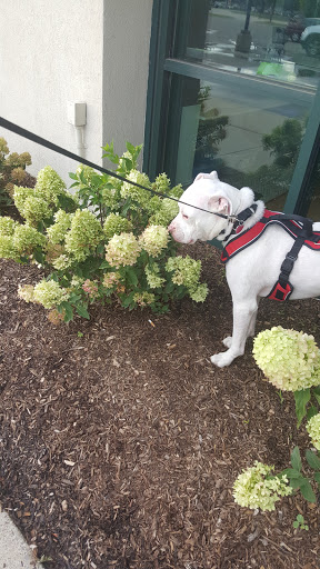 Pet Supply Store «Pet Supplies Plus», reviews and photos, 2057 S Telegraph Rd, Bloomfield Hills, MI 48302, USA