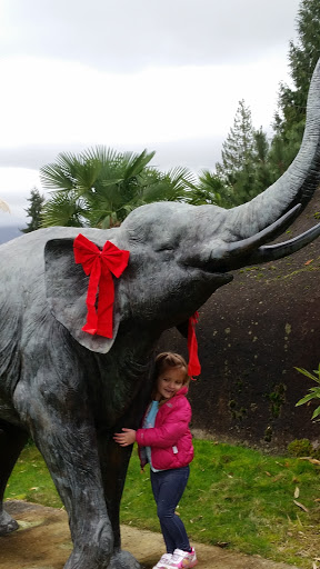 Zoo «Cougar Mountain Zoo», reviews and photos, 19525 SE 54th St, Issaquah, WA 98027, USA